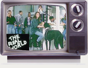 MTV's The Real World